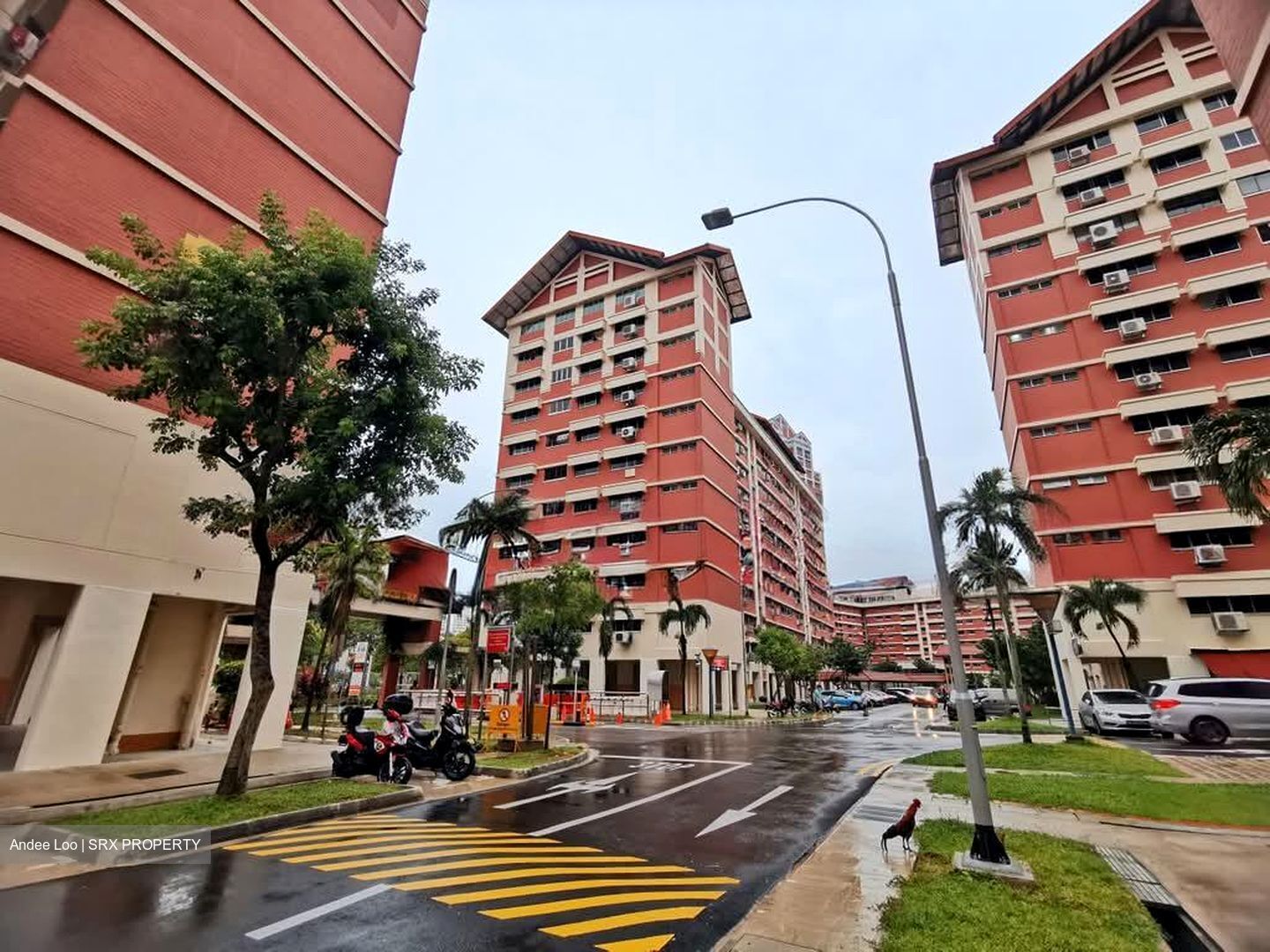 Blk 455 Sin Ming Avenue (Bishan), HDB 4 Rooms #564189961